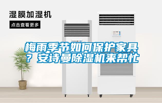 梅雨季节如何保护家具？成人抖音在线下载91抖音免费看片来帮忙