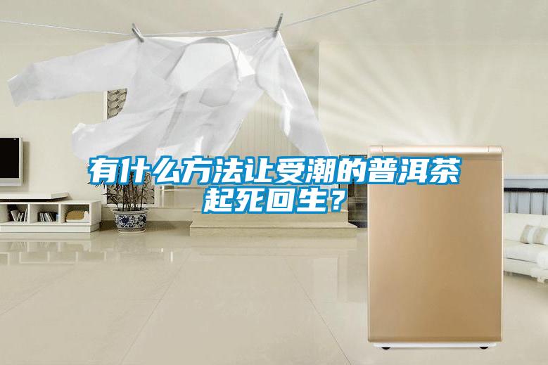 有什么方法让受潮的普洱茶起死回生？