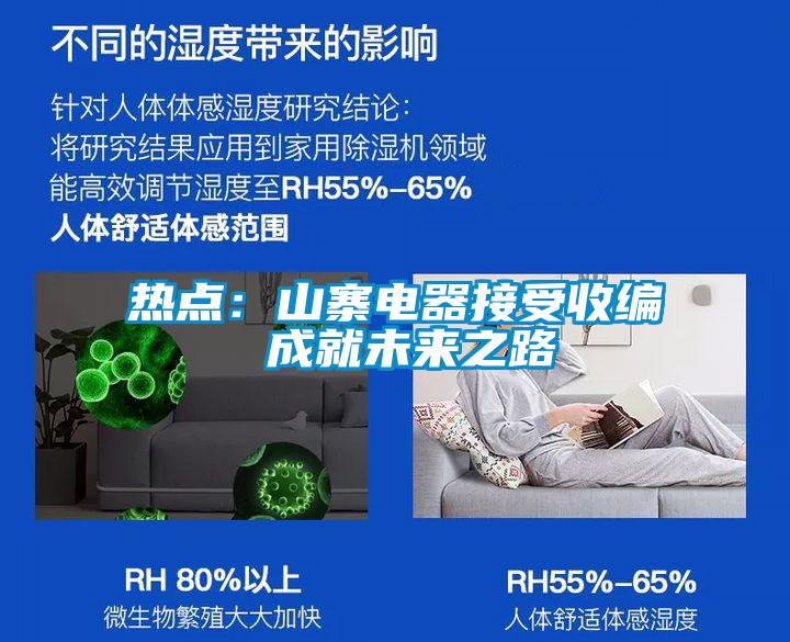 热点：山寨电器接受收编 成就未来之路