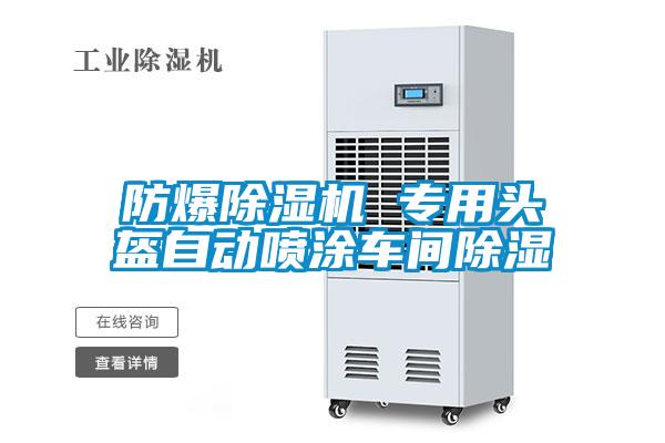 防爆91抖音免费看片 专用头盔自动喷涂车间除湿