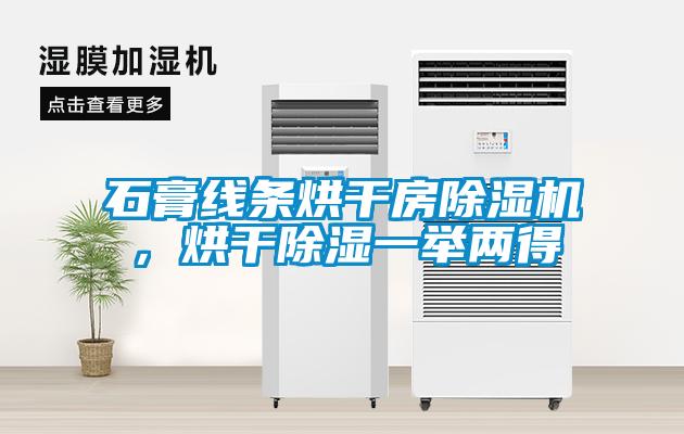 石膏线条烘干房91抖音免费看片，烘干除湿一举两得