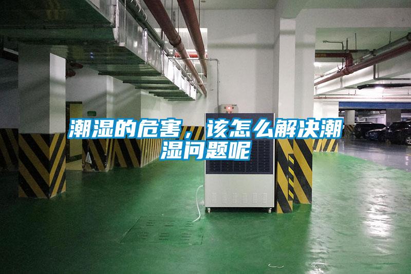 潮湿的危害，该怎么解决潮湿问题呢