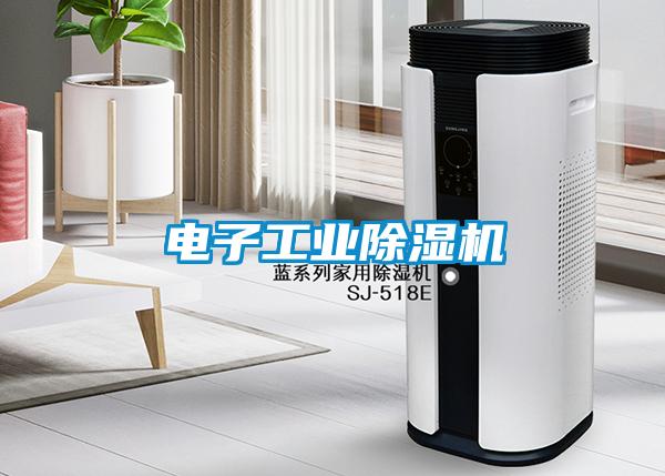 电子工业91抖音免费看片
