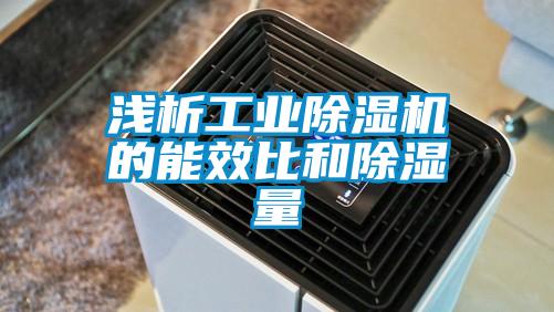 浅析工业91抖音免费看片的能效比和除湿量