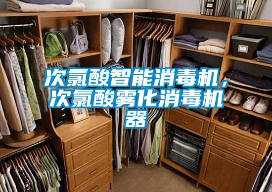 次氯酸智能消毒机，次氯酸雾化消毒机器