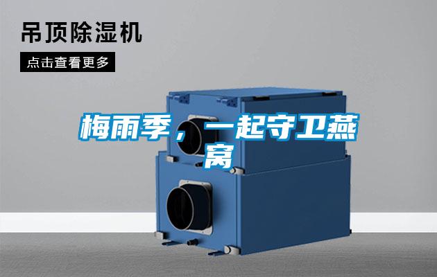 梅雨季，一起守卫燕窝