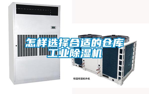 怎样选择合适的仓库工业91抖音免费看片