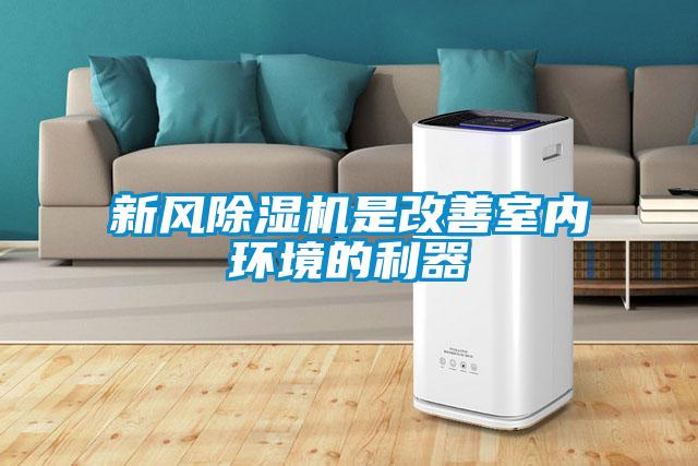 新风91抖音免费看片是改善室内环境的利器