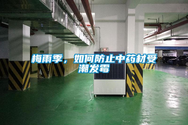 梅雨季，如何防止中药材受潮发霉