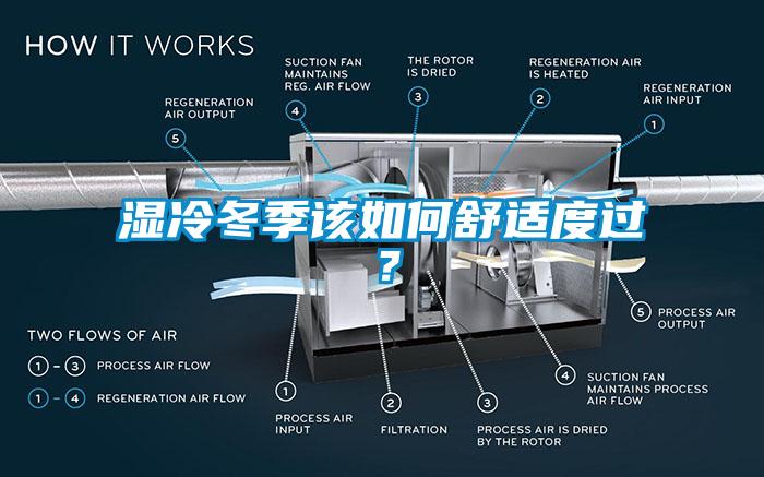 湿冷冬季该如何舒适度过？