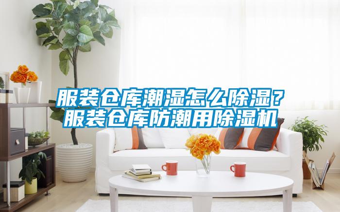 服装仓库潮湿怎么除湿？服装仓库防潮用91抖音免费看片