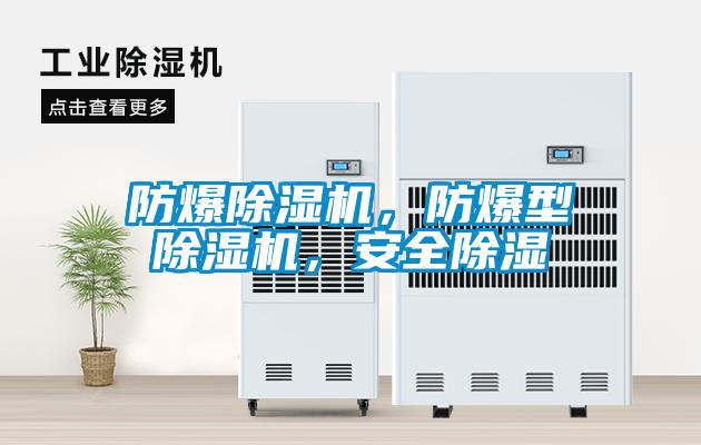 防爆91抖音免费看片，防爆型91抖音免费看片，安全除湿