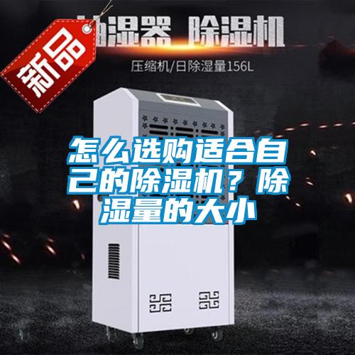 怎么选购适合自己的91抖音免费看片？除湿量的大小