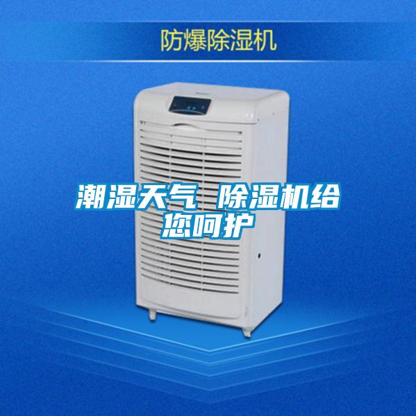 潮湿天气 91抖音免费看片给您呵护