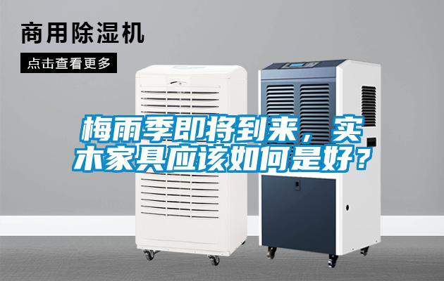 梅雨季即将到来，实木家具应该如何是好？