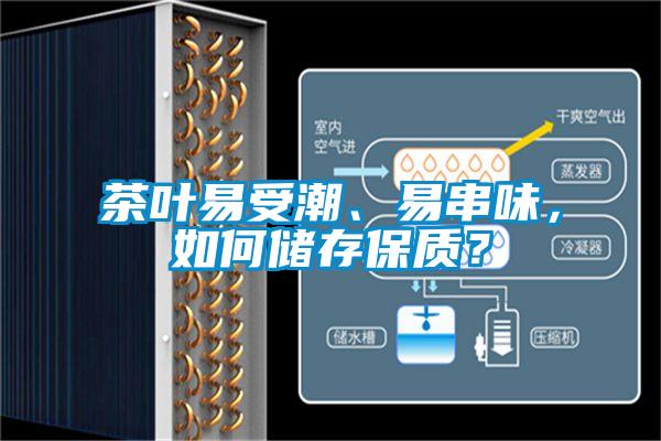 茶叶易受潮、易串味，如何储存保质？