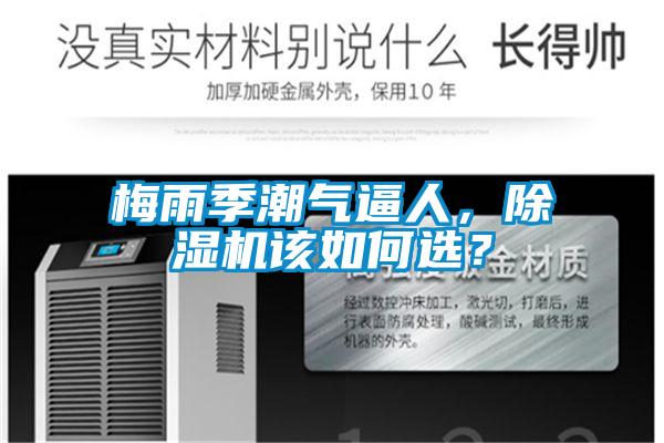 梅雨季潮气逼人，91抖音免费看片该如何选？