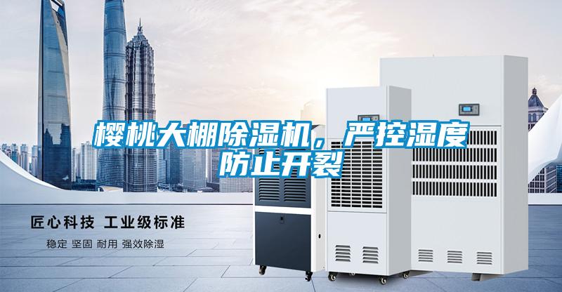 樱桃大棚91抖音免费看片，严控湿度防止开裂