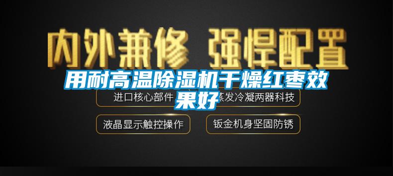 用耐高温91抖音免费看片干燥红枣效果好