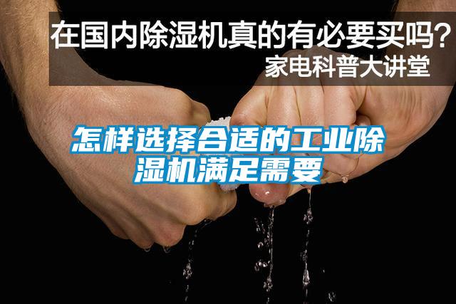 怎样选择合适的工业91抖音免费看片满足需要