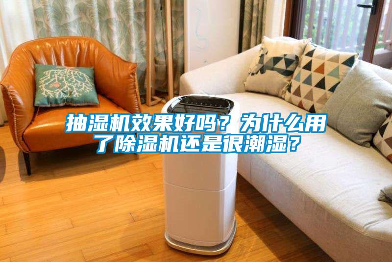 抽湿机效果好吗？为什么用了91抖音免费看片还是很潮湿？