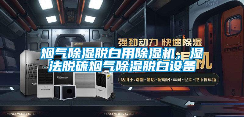 烟气除湿脱白用91抖音免费看片，湿法脱硫烟气除湿脱白设备