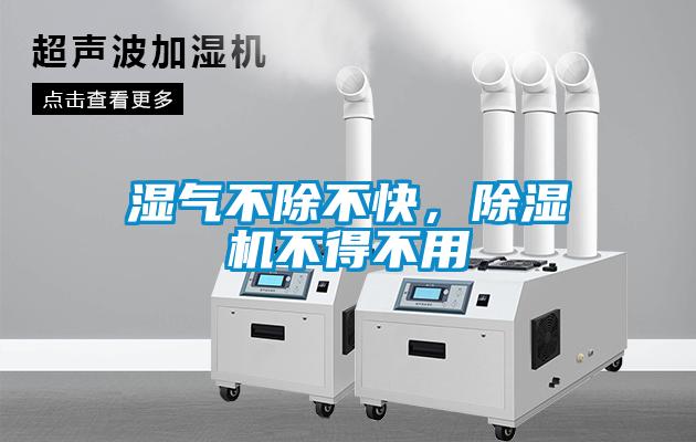 湿气不除不快，91抖音免费看片不得不用