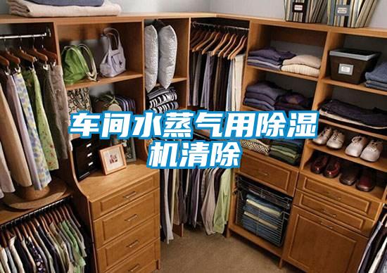 车间水蒸气用91抖音免费看片清除