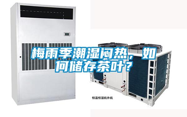 梅雨季潮湿闷热，如何储存茶叶？