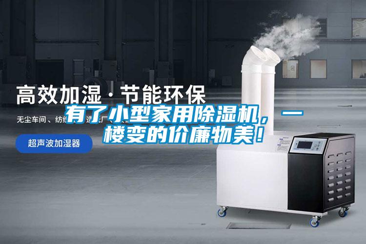 有了小型家用91抖音免费看片，一楼变的价廉物美！