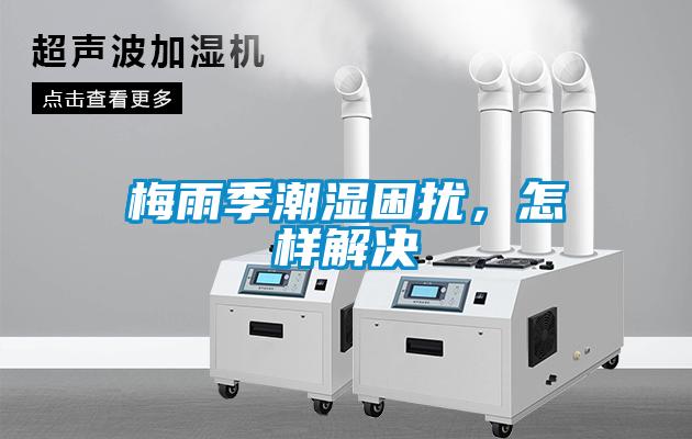 梅雨季潮湿困扰，怎样解决