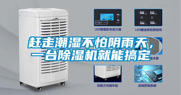 赶走潮湿不怕阴雨天，一台91抖音免费看片就能搞定