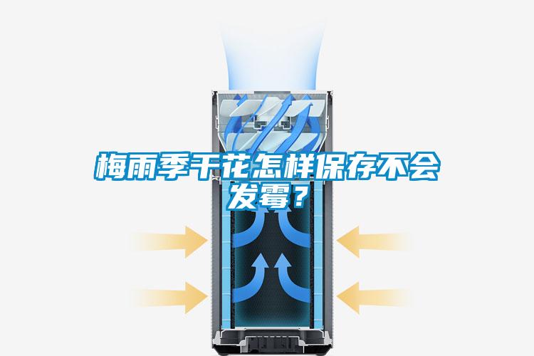 梅雨季干花怎样保存不会发霉？
