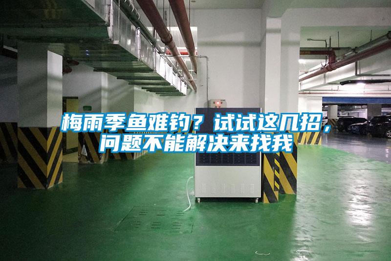 梅雨季鱼难钓？试试这几招，问题不能解决来找我