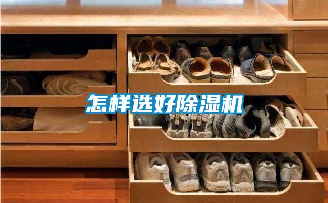 怎样选好91抖音免费看片