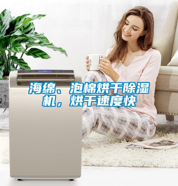 海绵、泡棉烘干91抖音免费看片，烘干速度快