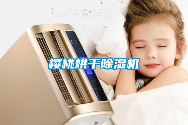 樱桃烘干91抖音免费看片