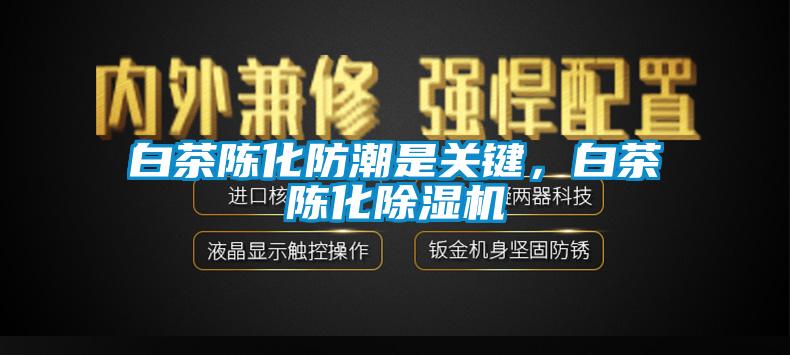白茶陈化防潮是关键，白茶陈化91抖音免费看片