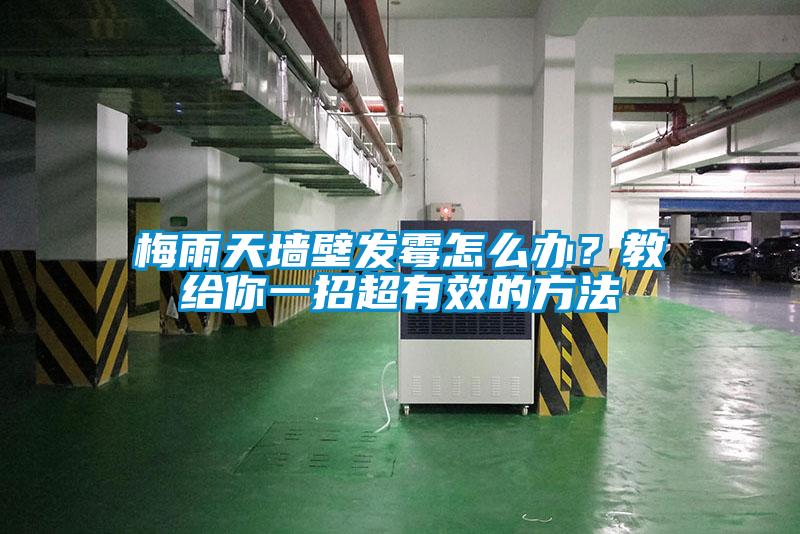 梅雨天墙壁发霉怎么办？教给你一招超有效的方法