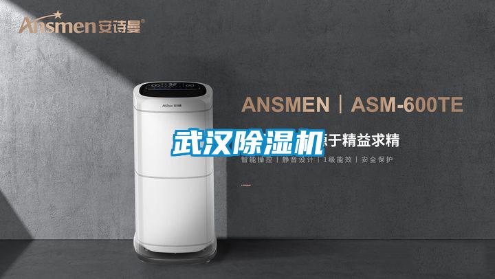 武汉91抖音免费看片
