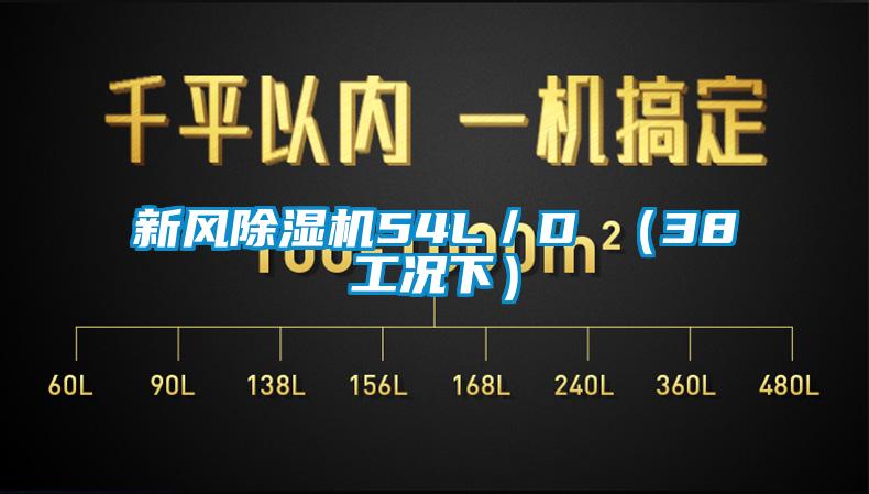 新风91抖音免费看片54L／D （38工况下）