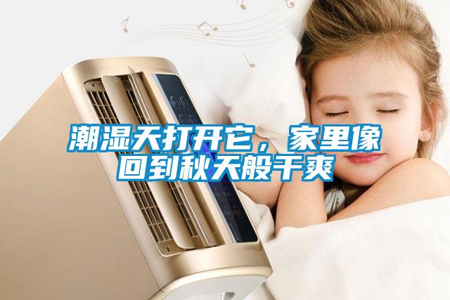 潮湿天打开它，家里像回到秋天般干爽