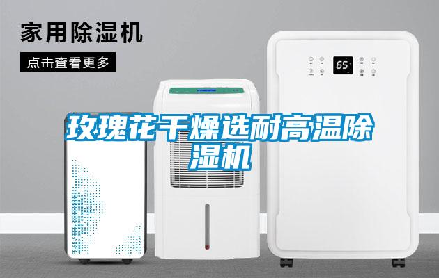 玫瑰花干燥选耐高温91抖音免费看片
