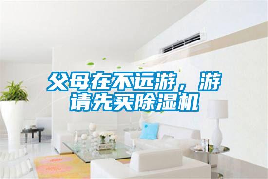 父母在不远游，游请先买91抖音免费看片