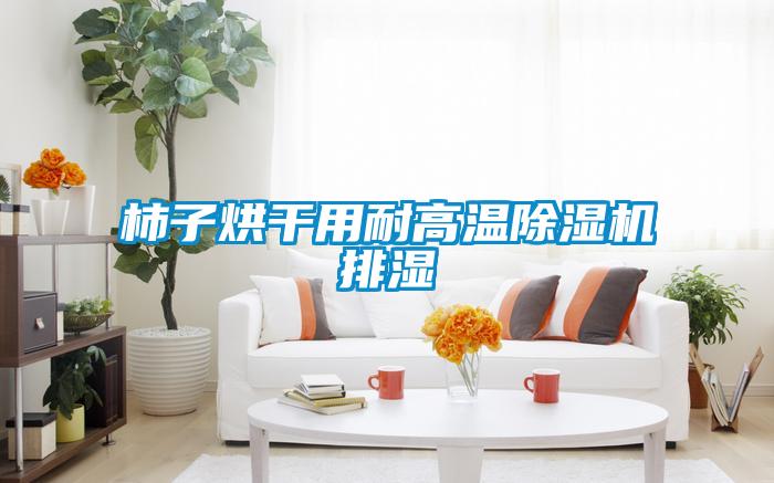 柿子烘干用耐高温91抖音免费看片排湿