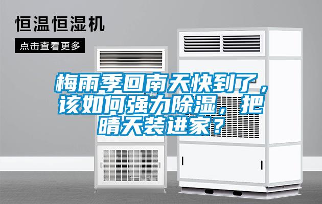 梅雨季回南天快到了，该如何强力除湿，把晴天装进家？