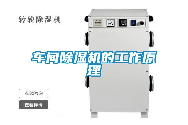 车间91抖音免费看片的工作原理