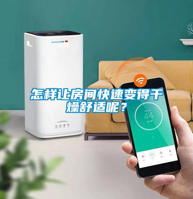 怎样让房间快速变得干燥舒适呢？