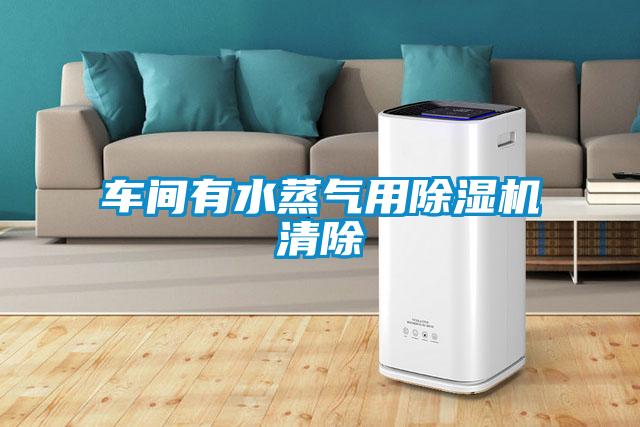 车间有水蒸气用91抖音免费看片清除