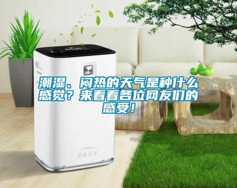 潮湿、闷热的天气是种什么感觉？来看看各位网友们的感受！